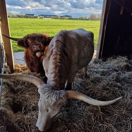 Appartamento Bed&Bbq Longhornranch Akersloot Esterno foto